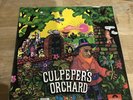 Culpepers Orchard Polydor Danish Psych Folk Rare 1st Press