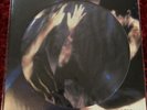 Siouxsie and The Banshees - The Scream - Picture Disc - Rare