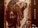 Jah Shaka - Dub Almighty - Commandments Of Dub 4. EX Record / VG Sleeve Vinyl LP