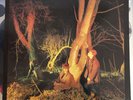 Echo And The Bunnymen Crocodiles, Korova 1980, Uk 1st Ex/VG+, A-3 B-1, Vinyl Lp