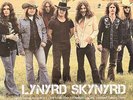 Lynyrd Skynyrd - Icon - Double LP 12” Colored Vinyl Records ** Near Mint ** NM