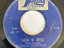 CONJUNTO TERRICOLAS - Camina de Frente / GARAGE PSYCH GUATEMALA Discos Feeling