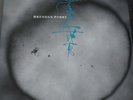 Brendan Perry  :  Eye of the hunter /Live at The I.C.A.  -  2x Coloured Vinyl