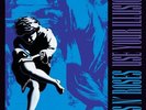 Guns N Roses Use Your Illusion II Vinyl LP Remastered 2022 NEW