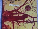 Wishbone Ash Pilgrimage Vinyl - 1st Press UK Orange/Purple 1971