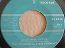 Garage Psych - Holbrook, Arsenault w/Venus Flytrap -California Hippies-Triple S