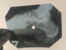 ELVIS DIRTY DIRTY FEELING X-Ray USSR Record Roentgen Bones Ribs Music Vinyl