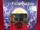WHITESNAKE Still Of The Night 1987 UK 12