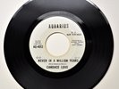 Candace Love - Soul 45 - Never In A Million Years/ I Want To -Aquarius Promo M-