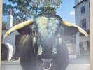 Swervedriver 