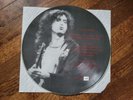 Led Zeppelin Jimmy Page White Summer #49 Of 375 Picture Disc Vinyl Record RARE