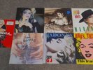 Madonna lot vinyles 33t et maxi 45,thé first album,True blue...pressage ancien