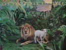 The Futures - The Greetings Of Peace (LP, Album)
