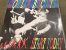 gorilla biscuits 1st Press Start Today Sxe Punk Hardcore Revelation Records NYHC