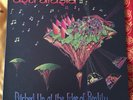 ASTRALASIA Pitched Up At The Edge Of Reality VINYL LP Psy Trance GOA Magick Eye 