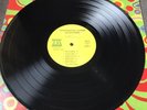 PSYCHEDELIC SOUNDS 13TH FLOOR ELEVATORS 1966 ORIG MONO LP PSYCH