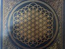 Sempiternal by Bring Me the Horizon. Limited Edition yellow vinyl.