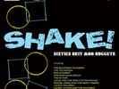 Various Artists Shake : Sixties Brit Mod Nuggets (Vinyl) 12