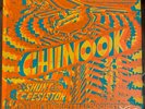 Jimmy Cauty Shunt Resistor - Chinook 12