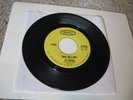 **The Remains/ Why Do I Cry b/w My Babe/ Epic/ 1965/ Canada/ Very Rare Garage