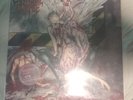 Cannibal Corpse - Bloodthirst - (Vinyl, LP, Limited Edition, Numbered, Marbled