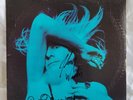 JOHNNY WINTER  