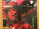KID ROCK - DEVIL WITHOUT A CAUSE (2015) NEW LP EUROPE