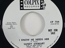 Sandy Stewart 