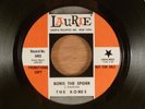The Kords Boris The Spider/It's All In My Mind Promo Garage, Psych The Who Cover