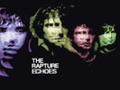 THE RAPTURE ECHOES NEW LP