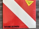 van halen diver down vinyl sealed w/ sticker 1982 pressing RARE