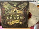New Found Glory: Not Without a Fight LP GRAY vinyl ltd. 1200, Near Mint