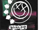 BLINK-182 Feeling This on Geffen punk 45 signed by Tom Delonge