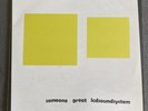 LCD Soundsystem - Someone Great Soulwax Remix 2x12” Vinyl EX