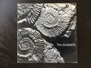 The Sundays Reading Writing and Arithmetic ORIG EURO PRESS 1990 rough trade