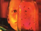 Jar of Flies by Alice in Chains (Record, 2010) Open Sleeve Never Played