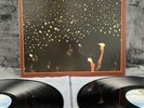 Bob Dylan / The Band – Before The Flood | Japan Pressung 2LP Vinyl Schallplatte