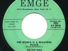 FIVE DISCS - The World Is A Beautiful Place / I Remember - EMGE - Doo Wop 45