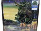 Tango In The Night by Fleetwood Mac, Green Vinyl Record Walmart   NEW