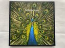 The Bluetones Expecting To Fly 2021 4 x vinyl album Box Set with book 3 BLUE