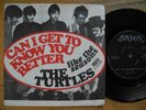 TURTLES Can I Get To Know You Better 45 7