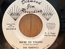 THE TERRIFICS   We're So Young / I'll Get Him Back  Diamond Jim northern soul 45