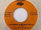 Rare Power Pop KBD Synth 45 TRITON & THE MINNOWS Etch-A-Sketch Song/Speechless