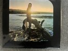 Reggae In the Summertime By Music Doctors
