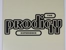 The Prodigy – Experience / Repress, Reissue, 2006 Gatefold LP