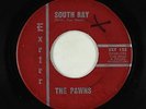 Garage/Surf Inst. 45 - Pawns - South Bay/The Pawn - Exeter