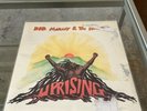 Bob Marley & The Wailers 