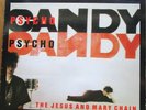 The Jesus and Mary Chain- 