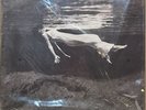 Bill Evans & Jim Hall -  Undercurrent Numbered Ltd. Edition Vinyl LP Mofi MFSL