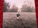 Taylor Swift Folklore Running Like Water Limited Edition Deluxe 2lp Vinyl LP...